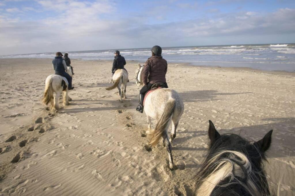Neufchâtel-Hardelot Maison Independante De Vacances Hardelot Plage מראה חיצוני תמונה